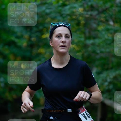 28.09.2025 - 33. Volkslauf durch das schöne Alstertal Patografie http://msf.ph/oto/8966017 28.09.2025 09:16:00 Laufen 10 meine-sportfotos.de