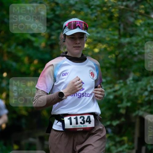 28.09.2025 - 33. Volkslauf durch das schöne Alstertal Patografie http://msf.ph/oto/8966026 28.09.2025 09:16:38 Laufen 1134 meine-sportfotos.de