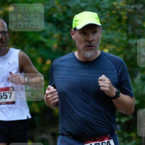 28.09.2025 - 33. Volkslauf durch das schöne Alstertal Patografie http://msf.ph/oto/8966028 28.09.2025 09:16:52 Laufen 657, 1769 meine-sportfotos.de