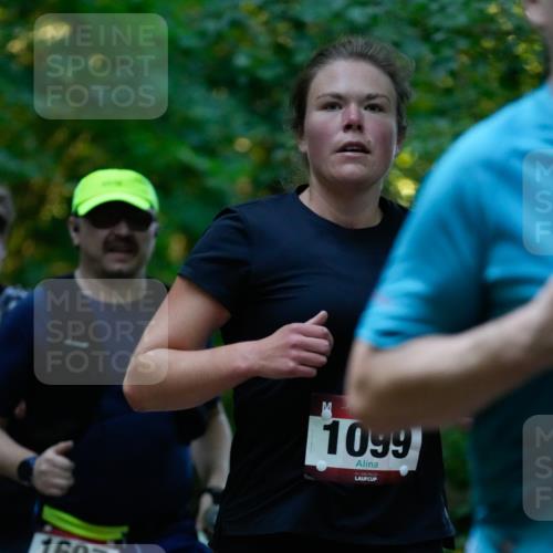 28.09.2025 - 33. Volkslauf durch das schöne Alstertal Patografie http://msf.ph/oto/8966043 28.09.2025 09:17:34 Laufen 1697, 1099 meine-sportfotos.de