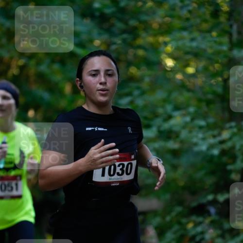 28.09.2025 - 33. Volkslauf durch das schöne Alstertal Patografie http://msf.ph/oto/8966048 28.09.2025 09:17:39 Laufen 051, 030 meine-sportfotos.de