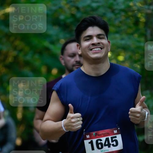 28.09.2025 - 33. Volkslauf durch das schöne Alstertal Patografie http://msf.ph/oto/8966057 28.09.2025 09:17:59 Laufen 1645 meine-sportfotos.de