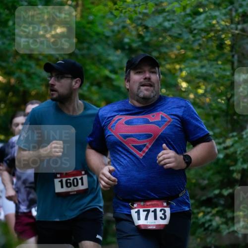 28.09.2025 - 33. Volkslauf durch das schöne Alstertal Patografie http://msf.ph/oto/8966063 28.09.2025 09:18:12 Laufen 1601, 1713 meine-sportfotos.de