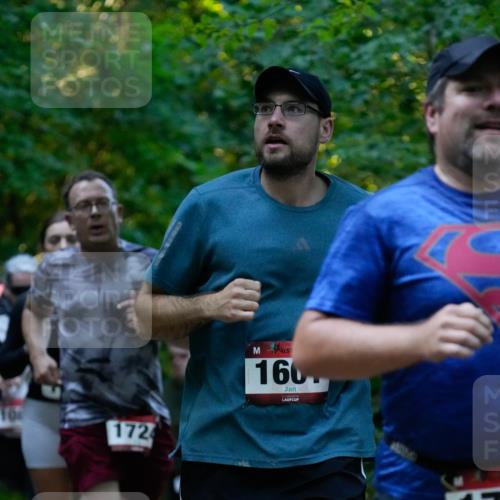 28.09.2025 - 33. Volkslauf durch das schöne Alstertal Patografie http://msf.ph/oto/8966065 28.09.2025 09:18:13 Laufen 108, 172, 1601, 17 meine-sportfotos.de