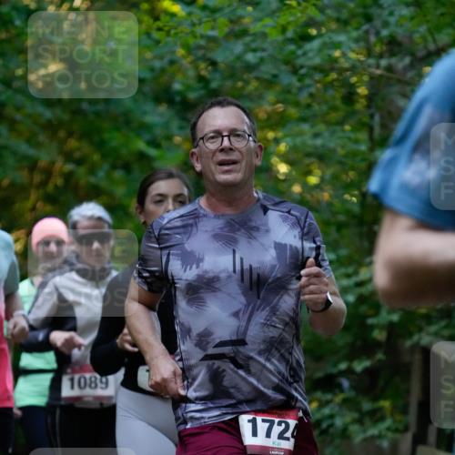 28.09.2025 - 33. Volkslauf durch das schöne Alstertal Patografie http://msf.ph/oto/8966067 28.09.2025 09:18:15 Laufen 1089, 1724 meine-sportfotos.de