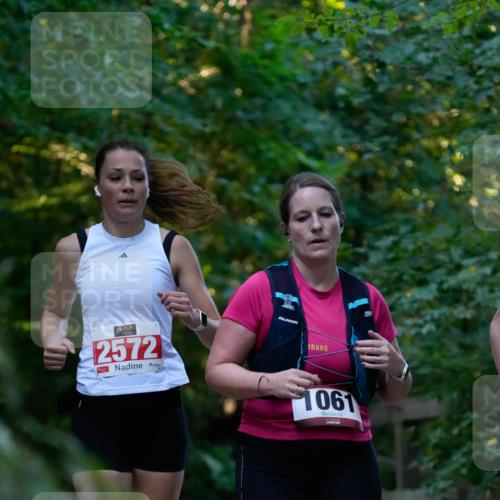 28.09.2025 - 33. Volkslauf durch das schöne Alstertal Patografie http://msf.ph/oto/8966073 28.09.2025 09:18:26 Laufen 2572, 1061 meine-sportfotos.de
