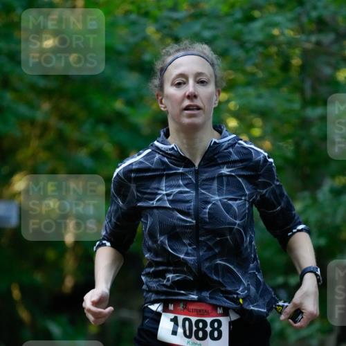 28.09.2025 - 33. Volkslauf durch das schöne Alstertal Patografie http://msf.ph/oto/8966077 28.09.2025 09:18:42 Laufen 1088 meine-sportfotos.de
