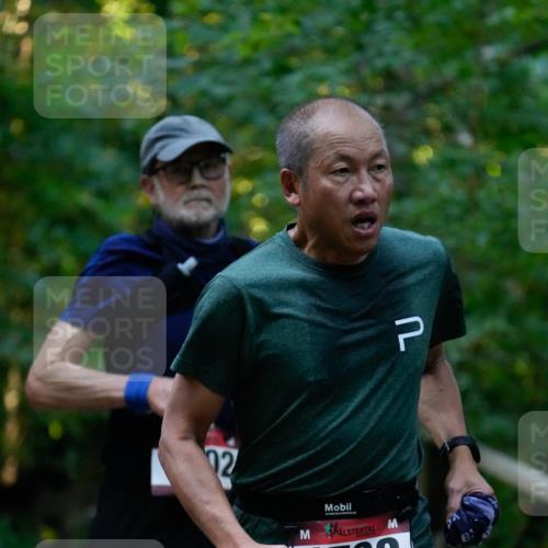 28.09.2025 - 33. Volkslauf durch das schöne Alstertal Patografie http://msf.ph/oto/8966082 28.09.2025 09:18:59 Laufen 2, 1732 meine-sportfotos.de