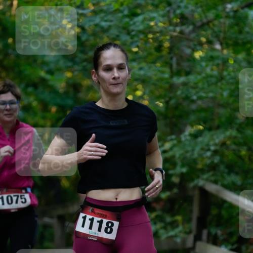 28.09.2025 - 33. Volkslauf durch das schöne Alstertal Patografie http://msf.ph/oto/8966087 28.09.2025 09:19:14 Laufen 1075, 1118 meine-sportfotos.de