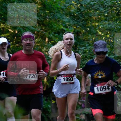 28.09.2025 - 33. Volkslauf durch das schöne Alstertal Patografie http://msf.ph/oto/8966094 28.09.2025 09:19:36 Laufen 1, 720, 1093, 1094 meine-sportfotos.de