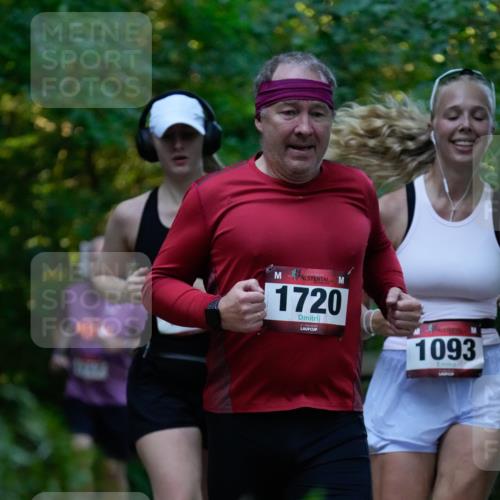 28.09.2025 - 33. Volkslauf durch das schöne Alstertal Patografie http://msf.ph/oto/8966097 28.09.2025 09:19:38 Laufen 1720, 1093 meine-sportfotos.de