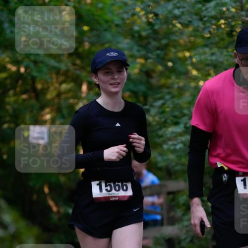 28.09.2025 - 33. Volkslauf durch das schöne Alstertal Patografie http://msf.ph/oto/8966099 28.09.2025 09:19:57 Laufen 2, 24, 1566 meine-sportfotos.de