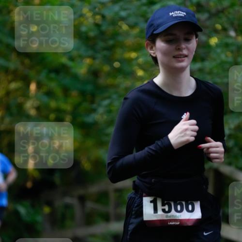 28.09.2025 - 33. Volkslauf durch das schöne Alstertal Patografie http://msf.ph/oto/8966100 28.09.2025 09:19:58 Laufen 24, 1566 meine-sportfotos.de
