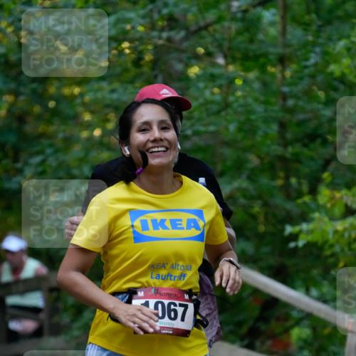 28.09.2025 - 33. Volkslauf durch das schöne Alstertal Patografie http://msf.ph/oto/8966102 28.09.2025 09:20:16 Laufen 1067 meine-sportfotos.de