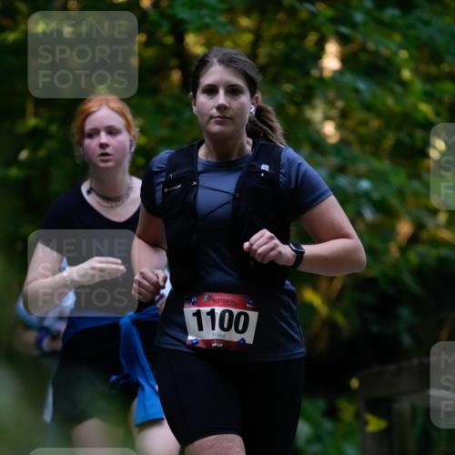 28.09.2025 - 33. Volkslauf durch das schöne Alstertal Patografie http://msf.ph/oto/8966114 28.09.2025 09:22:18 Laufen 1100 meine-sportfotos.de