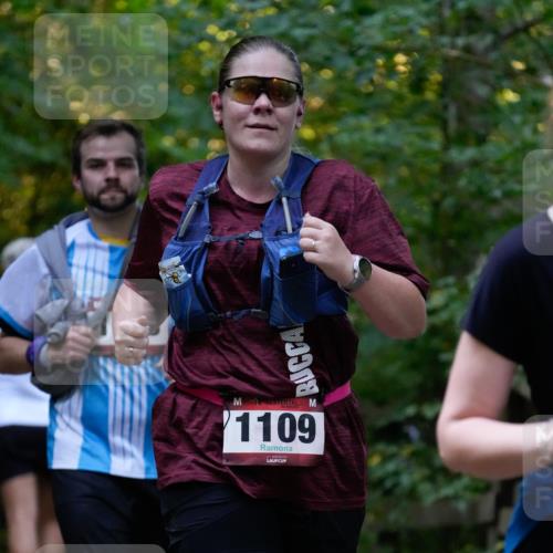 28.09.2025 - 33. Volkslauf durch das schöne Alstertal Patografie http://msf.ph/oto/8966116 28.09.2025 09:22:23 Laufen 1109 meine-sportfotos.de