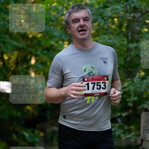 28.09.2025 - 33. Volkslauf durch das schöne Alstertal Patografie http://msf.ph/oto/8966120 28.09.2025 09:22:54 Laufen 36, 1753 meine-sportfotos.de