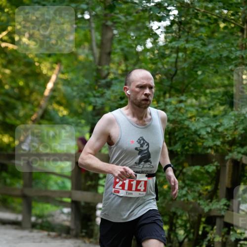 28.09.2025 - 33. Volkslauf durch das schöne Alstertal Patografie http://msf.ph/oto/8966135 28.09.2025 09:28:31 Laufen 2114 meine-sportfotos.de