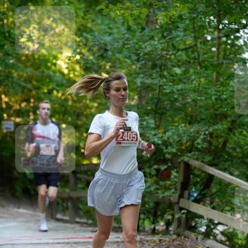 28.09.2025 - 33. Volkslauf durch das schöne Alstertal Patografie http://msf.ph/oto/8966137 28.09.2025 09:29:17 Laufen 2405 meine-sportfotos.de