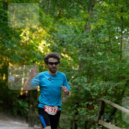 28.09.2025 - 33. Volkslauf durch das schöne Alstertal Patografie http://msf.ph/oto/8966141 28.09.2025 09:29:25 Laufen 2637 meine-sportfotos.de
