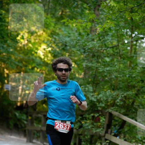 28.09.2025 - 33. Volkslauf durch das schöne Alstertal Patografie http://msf.ph/oto/8966142 28.09.2025 09:29:25 Laufen 2637 meine-sportfotos.de