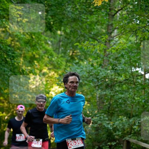 28.09.2025 - 33. Volkslauf durch das schöne Alstertal Patografie http://msf.ph/oto/8966143 28.09.2025 09:29:33 Laufen 2591, 2636 meine-sportfotos.de