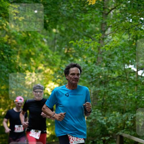 28.09.2025 - 33. Volkslauf durch das schöne Alstertal Patografie http://msf.ph/oto/8966145 28.09.2025 09:29:33 Laufen 2591, 2636 meine-sportfotos.de