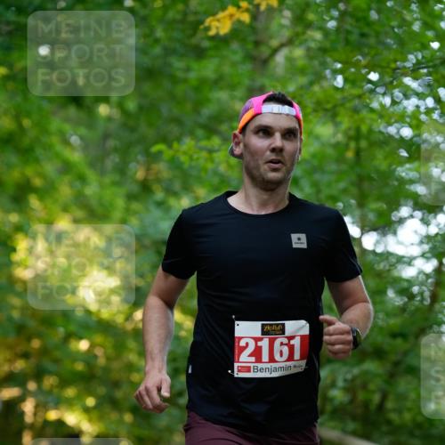 28.09.2025 - 33. Volkslauf durch das schöne Alstertal Patografie http://msf.ph/oto/8966146 28.09.2025 09:29:35 Laufen 2161 meine-sportfotos.de