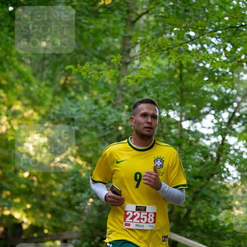 28.09.2025 - 33. Volkslauf durch das schöne Alstertal Patografie http://msf.ph/oto/8966147 28.09.2025 09:29:42 Laufen 821, 2258, 11 meine-sportfotos.de