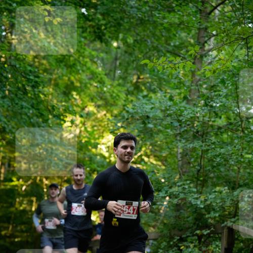 28.09.2025 - 33. Volkslauf durch das schöne Alstertal Patografie http://msf.ph/oto/8966149 28.09.2025 09:30:01 Laufen 2647 meine-sportfotos.de