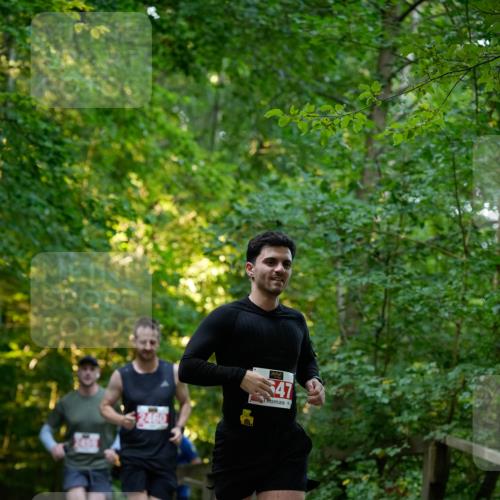 28.09.2025 - 33. Volkslauf durch das schöne Alstertal Patografie http://msf.ph/oto/8966150 28.09.2025 09:30:01 Laufen 2460, 2647 meine-sportfotos.de