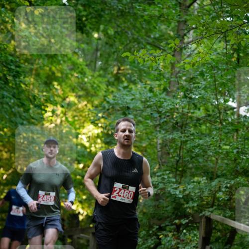 28.09.2025 - 33. Volkslauf durch das schöne Alstertal Patografie http://msf.ph/oto/8966151 28.09.2025 09:30:02 Laufen 2459, 2460, 1130, 1992 meine-sportfotos.de