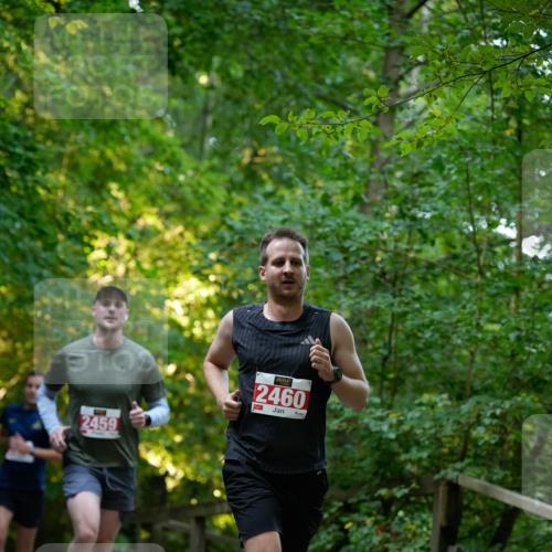 28.09.2025 - 33. Volkslauf durch das schöne Alstertal Patografie http://msf.ph/oto/8966152 28.09.2025 09:30:02 Laufen 2459, 2460 meine-sportfotos.de