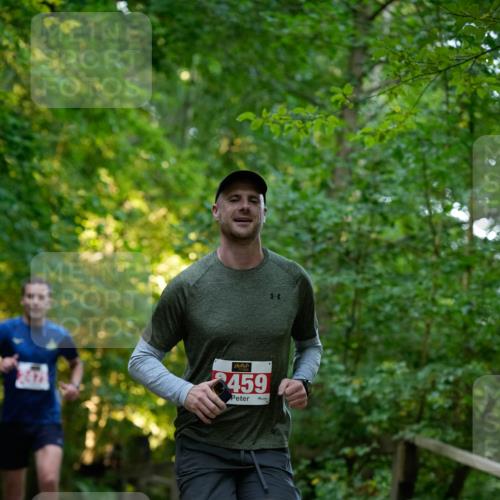 28.09.2025 - 33. Volkslauf durch das schöne Alstertal Patografie http://msf.ph/oto/8966154 28.09.2025 09:30:03 Laufen 2459 meine-sportfotos.de