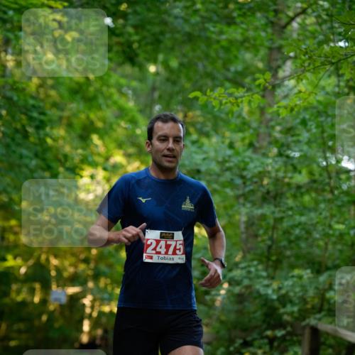 28.09.2025 - 33. Volkslauf durch das schöne Alstertal Patografie http://msf.ph/oto/8966156 28.09.2025 09:30:05 Laufen 2475 meine-sportfotos.de