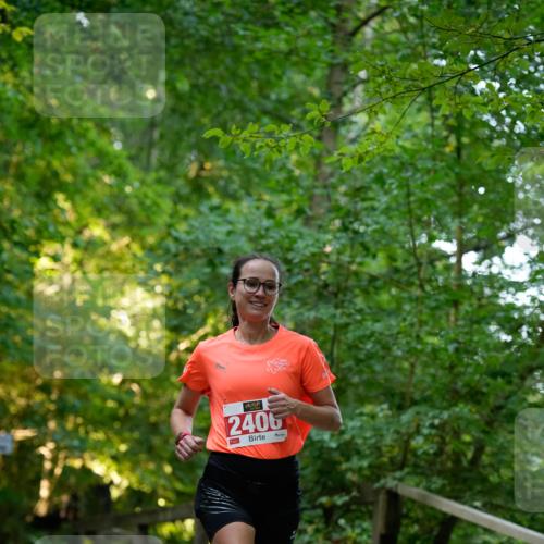 28.09.2025 - 33. Volkslauf durch das schöne Alstertal Patografie http://msf.ph/oto/8966157 28.09.2025 09:30:11 Laufen 2405 meine-sportfotos.de