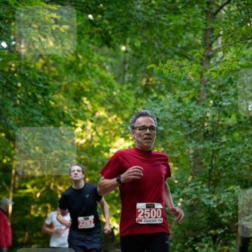 28.09.2025 - 33. Volkslauf durch das schöne Alstertal Patografie http://msf.ph/oto/8966161 28.09.2025 09:30:26 Laufen 2261, 2500 meine-sportfotos.de