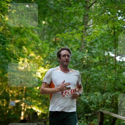 28.09.2025 - 33. Volkslauf durch das schöne Alstertal Patografie http://msf.ph/oto/8966162 28.09.2025 09:30:29 Laufen 2261 meine-sportfotos.de