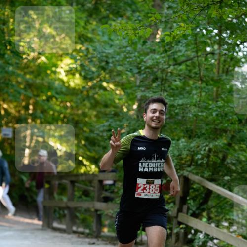 28.09.2025 - 33. Volkslauf durch das schöne Alstertal Patografie http://msf.ph/oto/8966167 28.09.2025 09:30:44 Laufen 2385 meine-sportfotos.de