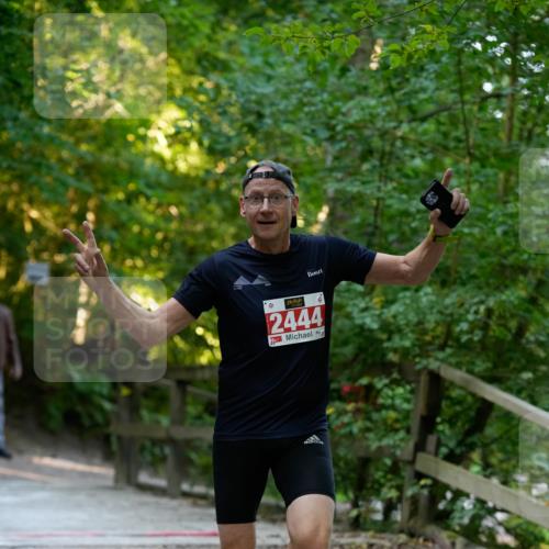 28.09.2025 - 33. Volkslauf durch das schöne Alstertal Patografie http://msf.ph/oto/8966168 28.09.2025 09:30:49 Laufen 2444 meine-sportfotos.de