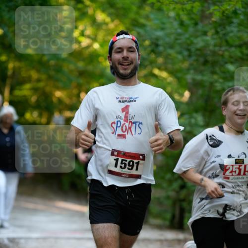 28.09.2025 - 33. Volkslauf durch das schöne Alstertal Patografie http://msf.ph/oto/8966172 28.09.2025 09:31:10 Laufen 1591, 2515 meine-sportfotos.de