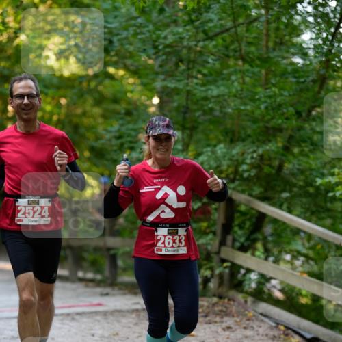 28.09.2025 - 33. Volkslauf durch das schöne Alstertal Patografie http://msf.ph/oto/8966176 28.09.2025 09:31:25 Laufen 2524, 2633 meine-sportfotos.de