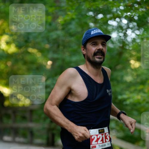 28.09.2025 - 33. Volkslauf durch das schöne Alstertal Patografie http://msf.ph/oto/8966178 28.09.2025 09:31:30 Laufen 2213 meine-sportfotos.de