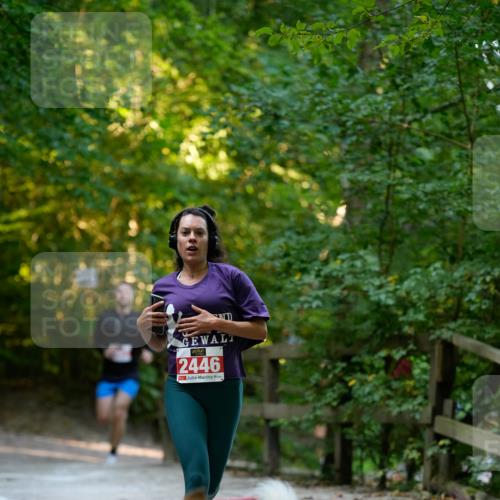 28.09.2025 - 33. Volkslauf durch das schöne Alstertal Patografie http://msf.ph/oto/8966180 28.09.2025 09:31:35 Laufen 2446 meine-sportfotos.de