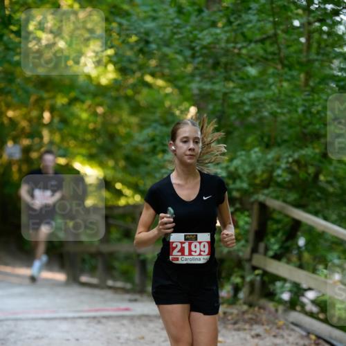 28.09.2025 - 33. Volkslauf durch das schöne Alstertal Patografie http://msf.ph/oto/8966183 28.09.2025 09:31:41 Laufen 2199 meine-sportfotos.de