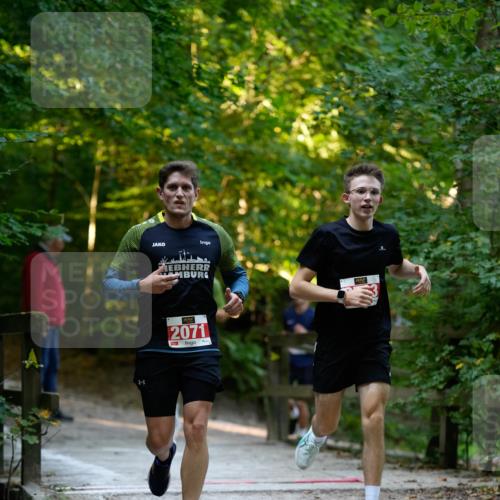 28.09.2025 - 33. Volkslauf durch das schöne Alstertal Patografie http://msf.ph/oto/8966184 28.09.2025 09:31:44 Laufen 2071 meine-sportfotos.de