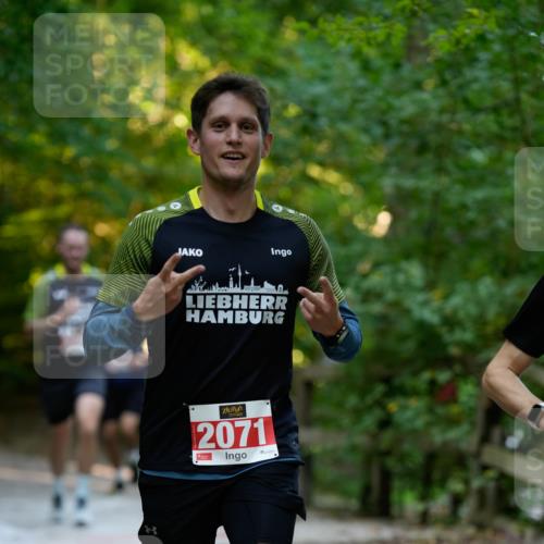 28.09.2025 - 33. Volkslauf durch das schöne Alstertal Patografie http://msf.ph/oto/8966185 28.09.2025 09:31:45 Laufen 2071 meine-sportfotos.de