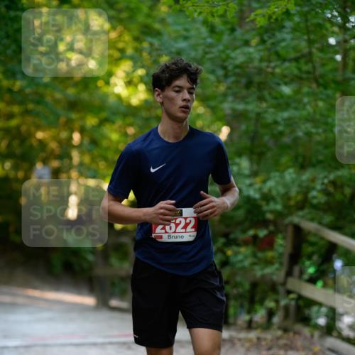 28.09.2025 - 33. Volkslauf durch das schöne Alstertal Patografie http://msf.ph/oto/8966187 28.09.2025 09:31:48 Laufen 2622 meine-sportfotos.de