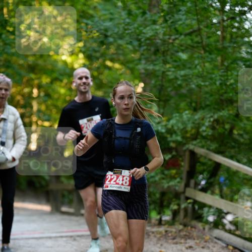 28.09.2025 - 33. Volkslauf durch das schöne Alstertal Patografie http://msf.ph/oto/8966193 28.09.2025 09:32:03 Laufen 2248 meine-sportfotos.de