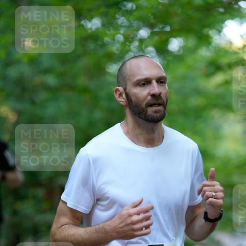 28.09.2025 - 33. Volkslauf durch das schöne Alstertal Patografie http://msf.ph/oto/8966196 28.09.2025 09:32:22 Laufen 2581 meine-sportfotos.de